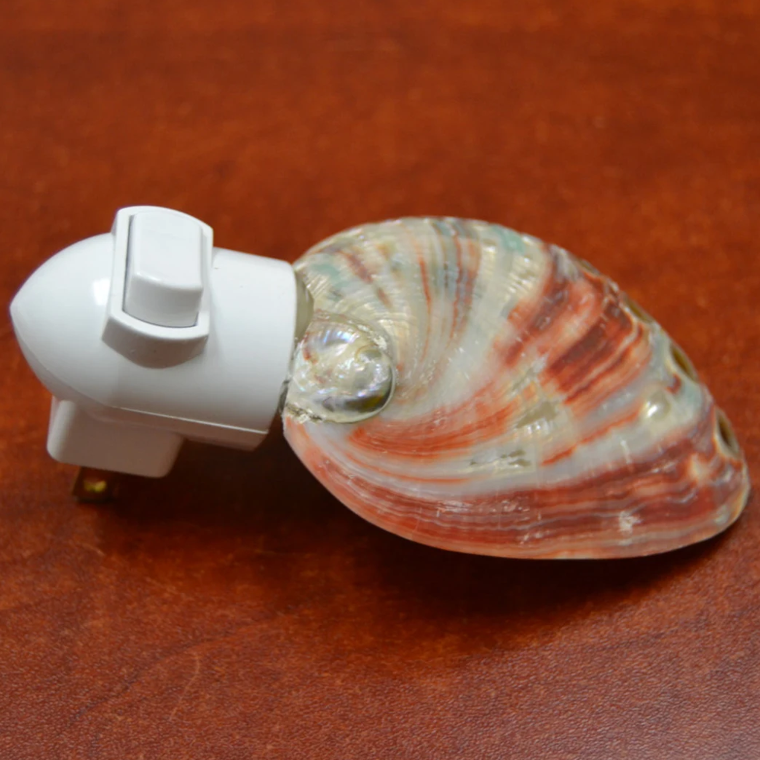 Coastal Seashell Plug-In Night Light, Natural Shell Wall Socket Lamp For Bathroom, Hallway And Nautical Interior Decoration